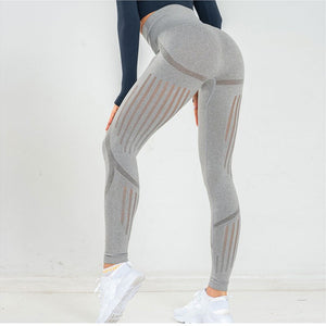 426 Dutte Dutta Seamless Fitness Sport Legging Tummy Control Yoga Pants