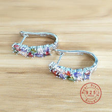 Load image into Gallery viewer, 416 Doremo Luxury 925 Sterling Sliver Flash Colorful CZ Zircon Ear Studs Earrings