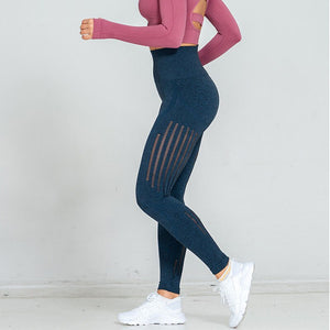 426 Dutte Dutta Seamless Fitness Sport Legging Tummy Control Yoga Pants